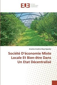 bokomslag Socit D'conomie Mixte Locale Et Bien-tre Dans Un Etat Dcentralis