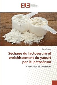 bokomslag Schage du lactosrum et enrichissement du yaourt par le lactosrum