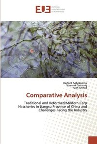 bokomslag Comparative Analysis