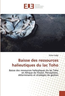 Baisse des ressources halieutiques du lac Toho 1