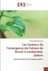 bokomslag Les facteurs de l'emergence de l'ulcere de Buruli  Lambarn, Gabon