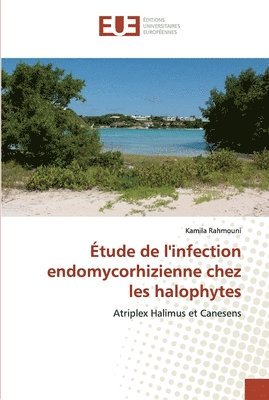 tude de l'infection endomycorhizienne chez les halophytes 1