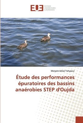 tude des performances puratoires des bassins anarobies STEP d'Oujda 1