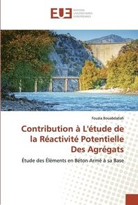 bokomslag Contribution  L'tude de la Ractivit Potentielle Des Agrgats
