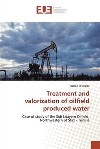 bokomslag Treatment and valorization of oilfield produced water
