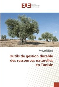 bokomslag Outils de gestion durable des ressources naturelles en Tunisie