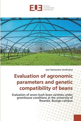 Evaluation of agronomic parameters and genetic compatibility of beans 1