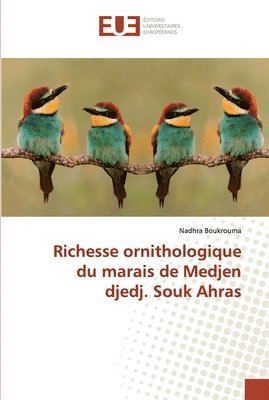Richesse ornithologique du marais de Medjen djedj. Souk Ahras 1