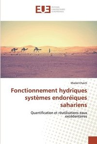 bokomslag Fonctionnement hydriques systmes endoriques sahariens