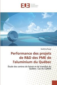 bokomslag Performance des projets de R&D des PME de l'aluminium du Qubec