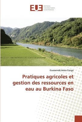bokomslag Pratiques agricoles et gestion des ressources en eau au Burkina Faso