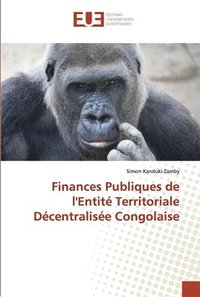 bokomslag Finances Publiques de l'Entit Territoriale Dcentralise Congolaise