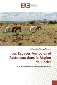 bokomslag Les Espaces Agricoles et Pastoraux dans la Rgion de Zinder