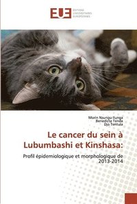 bokomslag Le cancer du sein  Lubumbashi et Kinshasa
