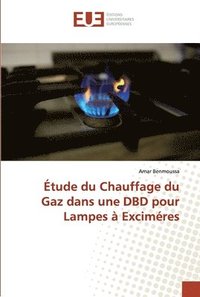bokomslag tude du Chauffage du Gaz dans une DBD pour Lampes  Excimres