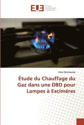 tude du Chauffage du Gaz dans une DBD pour Lampes  Excimres 1