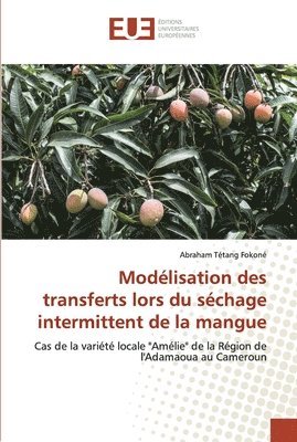 bokomslag Modlisation des transferts lors du schage intermittent de la mangue