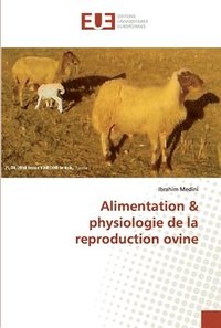bokomslag Alimentation & physiologie de la reproduction ovine