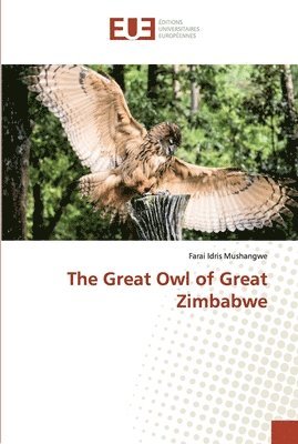 The Great Owl of Great Zimbabwe 1