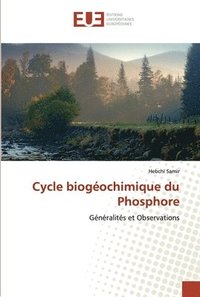 bokomslag Cycle biogochimique du Phosphore