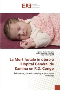 bokomslag La Mort foetale in utero a l'Hopital General de Kamina en R.D. Congo