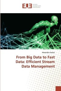 bokomslag From Big Data to Fast Data