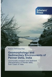 bokomslag Geomorphology and Sedimentary Environments of Penner Delta, India