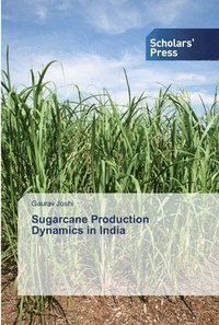 bokomslag Sugarcane Production Dynamics in India