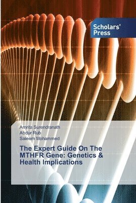 The Expert Guide On The MTHFR Gene 1