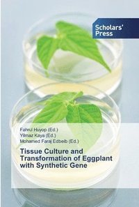 bokomslag Tissue Culture and Transformation of Eggplant with Synthetic Gene