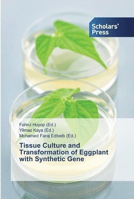 Tissue Culture and Transformation of Eggplant with Synthetic Gene 1