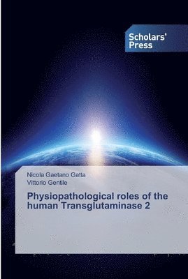 Physiopathological roles of the human Transglutaminase 2 1