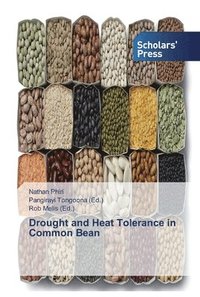 bokomslag Drought and Heat Tolerance in Common Bean