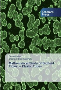bokomslag Mathematical Study of Biofluid Flows in Elastic Tubes