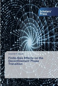 bokomslag Finite-Size Effects on the Deconfinement Phase Transition