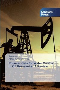 bokomslag Polymer Gels for Water Control in Oil Reservoirs