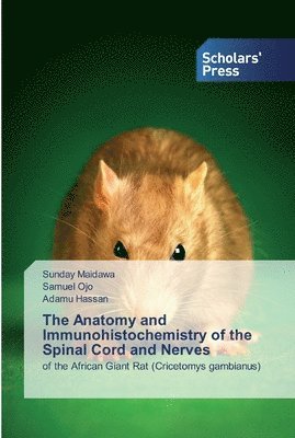 bokomslag The Anatomy and Immunohistochemistry of the Spinal Cord and Nerves