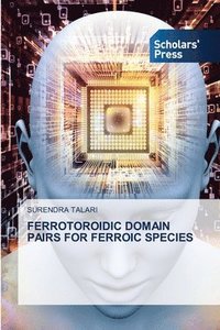 bokomslag Ferrotoroidic Domain Pairs for Ferroic Species