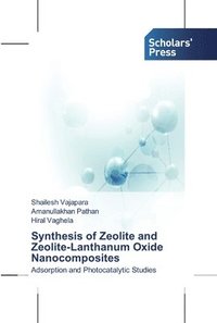 bokomslag Synthesis of Zeolite and Zeolite-Lanthanum Oxide Nanocomposites