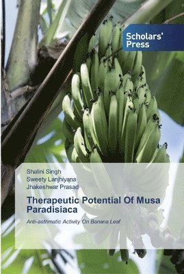 bokomslag Therapeutic Potential Of Musa Paradisiaca
