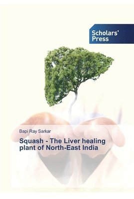 Squash - The Liver healing plant of North-East India 1