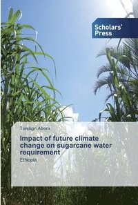 bokomslag Impact of future climate change on sugarcane water requirement