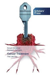 bokomslag Cancer Treatment