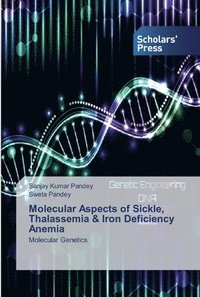 bokomslag Molecular Aspects of Sickle, Thalassemia & Iron Deficiency Anemia