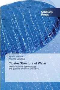 bokomslag Cluster Structure of Water