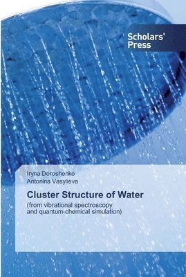 Iryna Doroshenko, Antonina Vasylieva - Cluster Structure of Water, Häftad