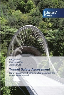 Pengfei Wu, Zhengguo Zhu, Junfeng Gao - Tunnel Safety Assessment, Häftad