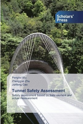 Tunnel Safety Assessment 1
