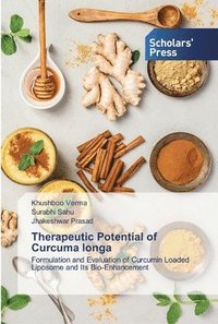 bokomslag Therapeutic Potential of Curcuma longa