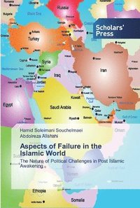 bokomslag Aspects of Failure in the Islamic World